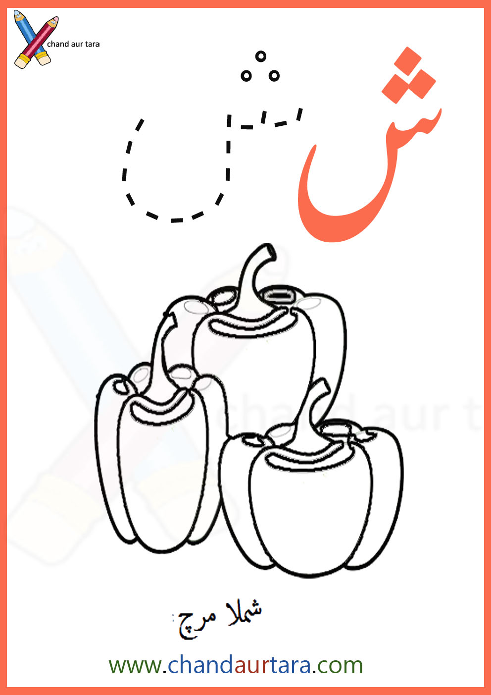 ش